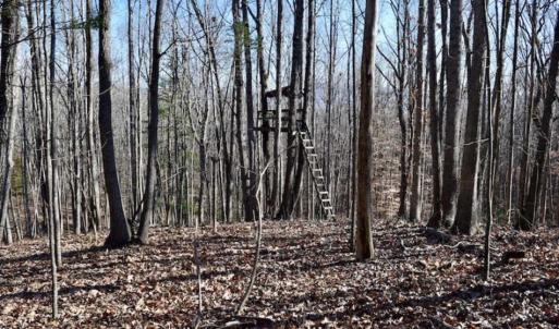 Photo of UNDER CONTRACT!!  68 Acres of Hunting and Recreational Land For Sale in Botetourt Co VA!