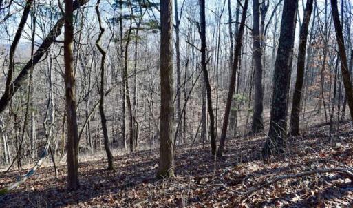 Photo of UNDER CONTRACT!!  68 Acres of Hunting and Recreational Land For Sale in Botetourt Co VA!