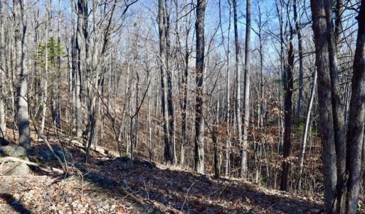 Photo of UNDER CONTRACT!!  68 Acres of Hunting and Recreational Land For Sale in Botetourt Co VA!