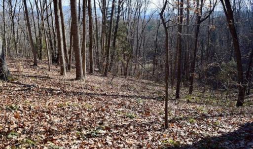 Photo of UNDER CONTRACT!!  68 Acres of Hunting and Recreational Land For Sale in Botetourt Co VA!