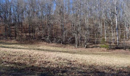 Photo of UNDER CONTRACT!!  68 Acres of Hunting and Recreational Land For Sale in Botetourt Co VA!
