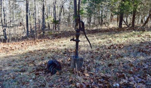 Photo of UNDER CONTRACT!!  68 Acres of Hunting and Recreational Land For Sale in Botetourt Co VA!