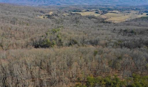 Photo of UNDER CONTRACT!!  68 Acres of Hunting and Recreational Land For Sale in Botetourt Co VA!