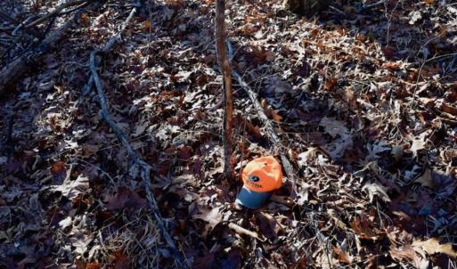Photo of UNDER CONTRACT!!  68 Acres of Hunting and Recreational Land For Sale in Botetourt Co VA!