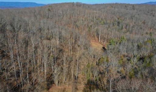 Photo of UNDER CONTRACT!!  68 Acres of Hunting and Recreational Land For Sale in Botetourt Co VA!