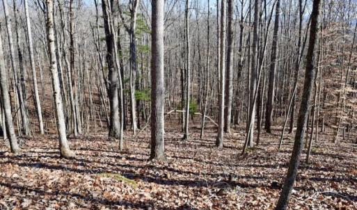 Photo of UNDER CONTRACT!!  68 Acres of Hunting and Recreational Land For Sale in Botetourt Co VA!
