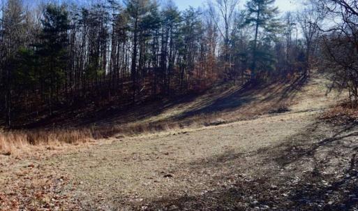 Photo of UNDER CONTRACT!!  68 Acres of Hunting and Recreational Land For Sale in Botetourt Co VA!