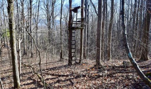 Photo of UNDER CONTRACT!!  68 Acres of Hunting and Recreational Land For Sale in Botetourt Co VA!