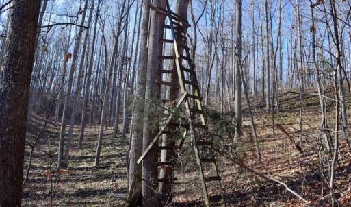 Photo of UNDER CONTRACT!!  68 Acres of Hunting and Recreational Land For Sale in Botetourt Co VA!