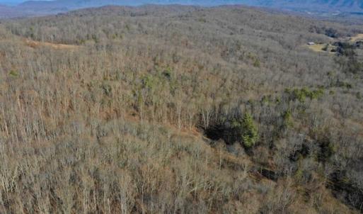 Photo of UNDER CONTRACT!!  68 Acres of Hunting and Recreational Land For Sale in Botetourt Co VA!