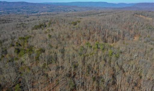 Photo of UNDER CONTRACT!!  68 Acres of Hunting and Recreational Land For Sale in Botetourt Co VA!