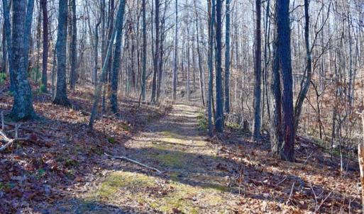Photo of UNDER CONTRACT!!  68 Acres of Hunting and Recreational Land For Sale in Botetourt Co VA!