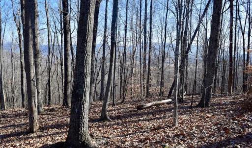 Photo of UNDER CONTRACT!!  68 Acres of Hunting and Recreational Land For Sale in Botetourt Co VA!