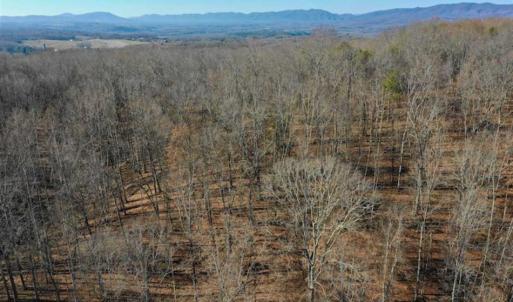 Photo of UNDER CONTRACT!!  68 Acres of Hunting and Recreational Land For Sale in Botetourt Co VA!