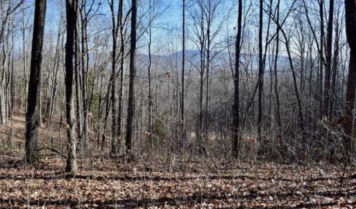 Photo of UNDER CONTRACT!!  68 Acres of Hunting and Recreational Land For Sale in Botetourt Co VA!