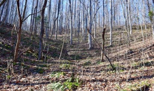 Photo of UNDER CONTRACT!!  68 Acres of Hunting and Recreational Land For Sale in Botetourt Co VA!