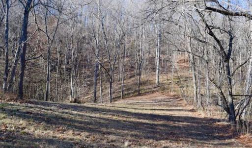 Photo of UNDER CONTRACT!!  68 Acres of Hunting and Recreational Land For Sale in Botetourt Co VA!