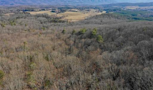 Photo of UNDER CONTRACT!!  68 Acres of Hunting and Recreational Land For Sale in Botetourt Co VA!