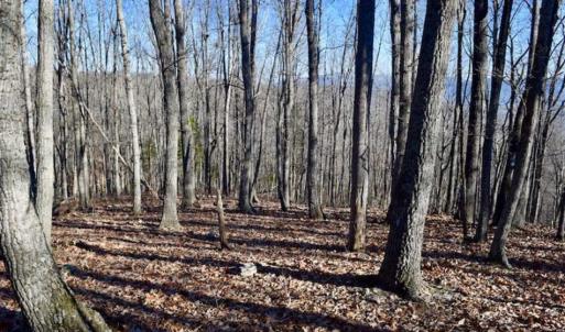 Photo of UNDER CONTRACT!!  68 Acres of Hunting and Recreational Land For Sale in Botetourt Co VA!