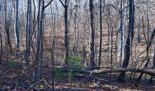 Photo of UNDER CONTRACT!!  68 Acres of Hunting and Recreational Land For Sale in Botetourt Co VA!