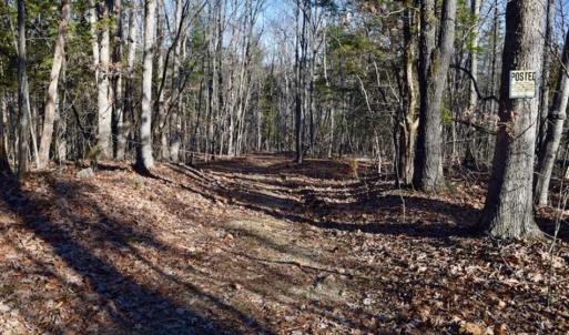 Photo of UNDER CONTRACT!!  68 Acres of Hunting and Recreational Land For Sale in Botetourt Co VA!