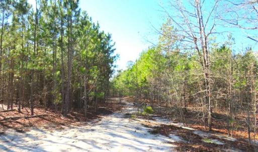 Photo of UNDER CONTRACT!!  12.25 Acres of Hunting Land For Sale in Scotland County NC!