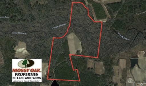 Photo of UNDER CONTRACT!!  115 Acres of Hunting Land For Sale in Columbus County NC!