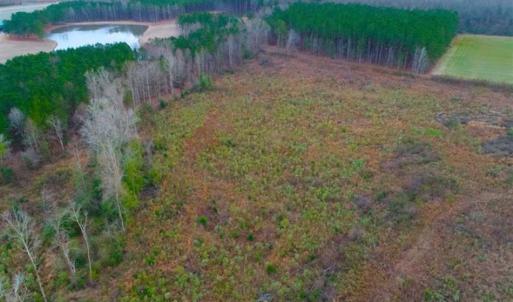 Photo of REDUCED!  18.7 Acres of Residential Land for Sale in Nash County NC!