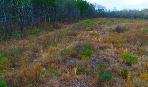 Photo of REDUCED!  18.7 Acres of Residential Land for Sale in Nash County NC!
