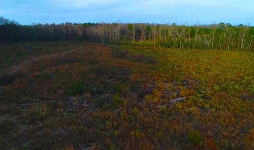 Photo of REDUCED!  18.7 Acres of Residential Land for Sale in Nash County NC!