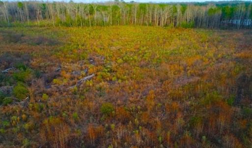 Photo of REDUCED!  18.7 Acres of Residential Land for Sale in Nash County NC!