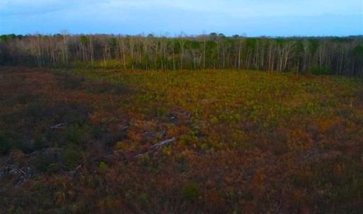 Photo of REDUCED!  18.7 Acres of Residential Land for Sale in Nash County NC!