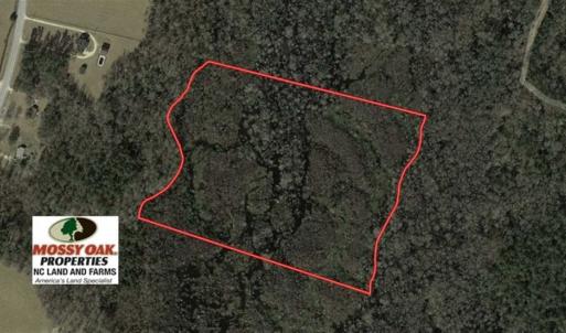 Photo of SOLD!!  20 Acres of Hunting Land For Sale in Robeson County NC!