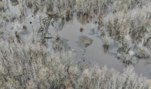 Photo of SOLD!!  20 Acres of Hunting Land For Sale in Robeson County NC!