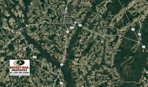 Photo of SOLD!!  20 Acres of Hunting Land For Sale in Robeson County NC!