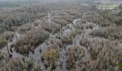 Photo of SOLD!!  20 Acres of Hunting Land For Sale in Robeson County NC!