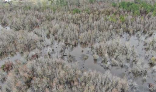 Photo of SOLD!!  20 Acres of Hunting Land For Sale in Robeson County NC!