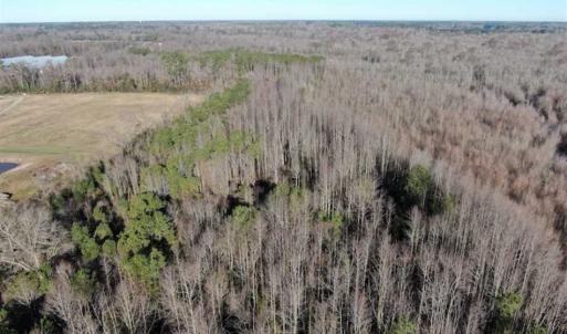 Photo of SOLD!!  125 Acres of Hunting Land For Sale in Robeson County NC!