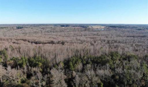 Photo of SOLD!!  125 Acres of Hunting Land For Sale in Robeson County NC!