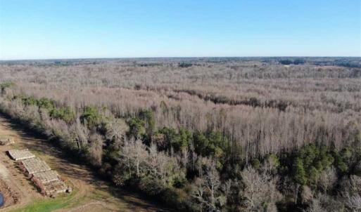 Photo of SOLD!!  125 Acres of Hunting Land For Sale in Robeson County NC!