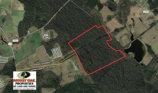 Photo of SOLD!!  125 Acres of Hunting Land For Sale in Robeson County NC!