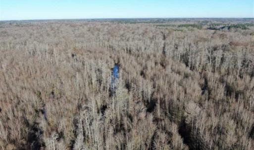 Photo of SOLD!!  125 Acres of Hunting Land For Sale in Robeson County NC!