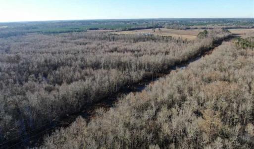 Photo of SOLD!!  125 Acres of Hunting Land For Sale in Robeson County NC!