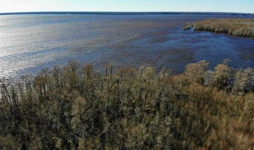 Photo of SOLD!!  27 Acre Marina and Waterfront Land For Sale in Chowan County NC!