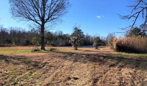 Photo of SOLD!!  27 Acre Marina and Waterfront Land For Sale in Chowan County NC!