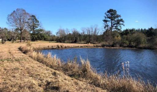 Photo of SOLD!!  27 Acre Marina and Waterfront Land For Sale in Chowan County NC!
