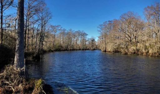 Photo of SOLD!!  27 Acre Marina and Waterfront Land For Sale in Chowan County NC!