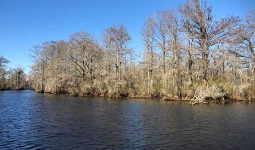 Photo of SOLD!!  27 Acre Marina and Waterfront Land For Sale in Chowan County NC!