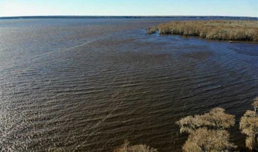 Photo of SOLD!!  27 Acre Marina and Waterfront Land For Sale in Chowan County NC!