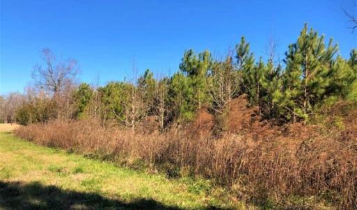 Photo of SOLD!!  27 Acre Marina and Waterfront Land For Sale in Chowan County NC!
